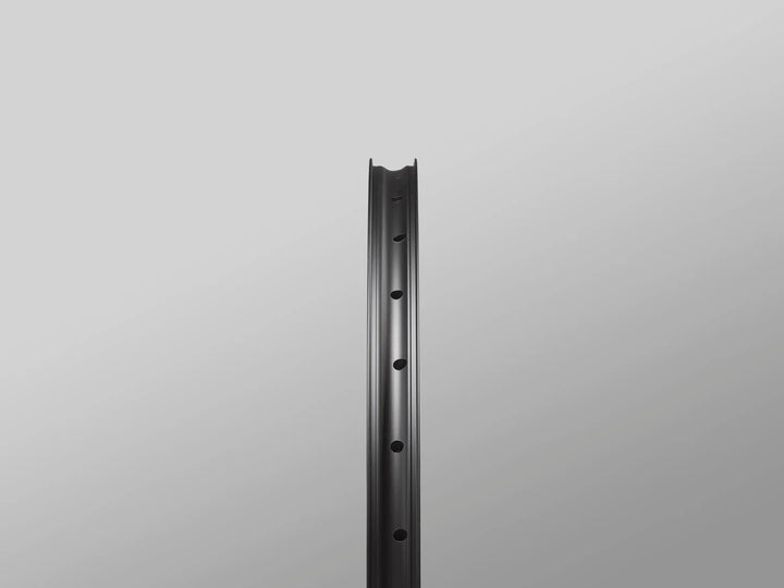 Reserve 30|DH Alloy MTB Wheelset